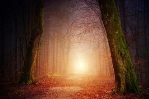 Protection & Energy Clearing