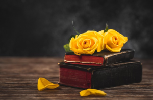 Divine Harbor Books & Gifts